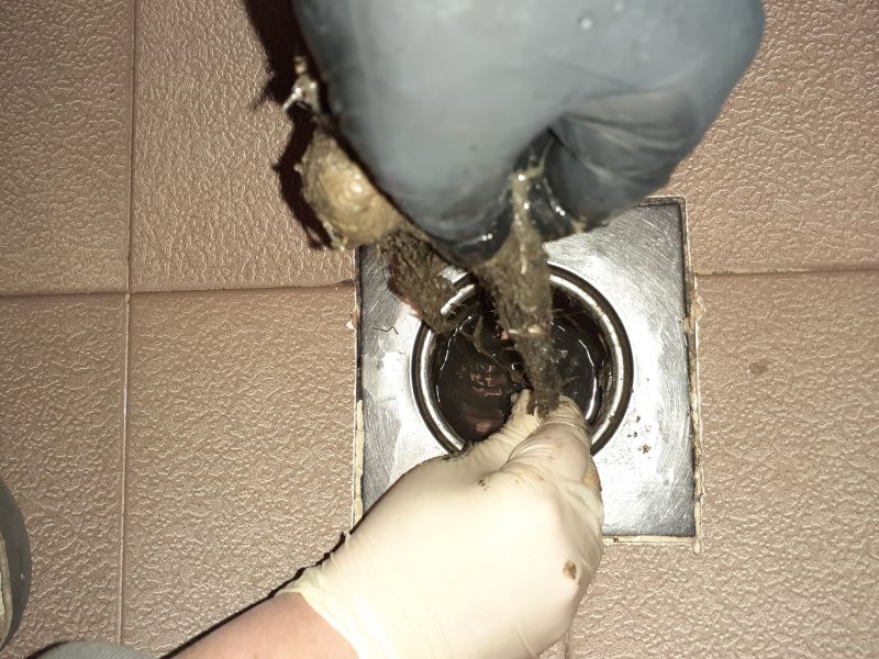 Bathroom Drain Cleaning